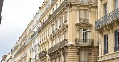 Économie. Santévet, leader européen de l’assurance santé animale, basé à Lyon, s’implante à Londres