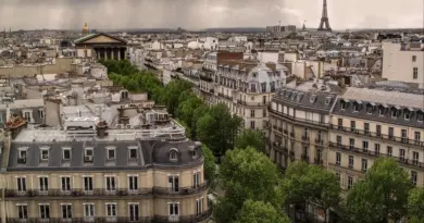 Cinéma Lyon – Jeunesse à vif : l’art de l’enfance par Vincent Raymond