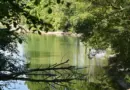 Comment le freelancing transforme le recrutement dans le secteur numérique à Lyon ? – lyon-entreprises.com