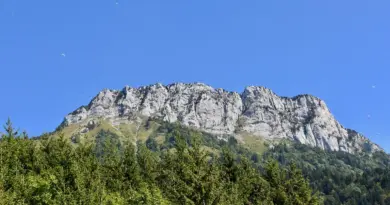 Connaître Grenoble – Les musées jouent la carte ateliers par François Cau
