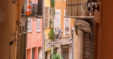 Désarmer la police municipale ? À Lyon, les écologistes évacuent la proposition des Insoumis