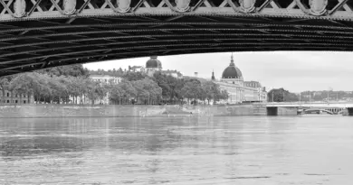 Emploi : Traitement et envoi de courriers H/F – Lyon