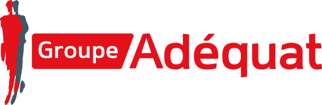 Finance/Comptabilité/Gestion Réf : 022-287444 Un gestionnaire de données H/F Interim Lyon