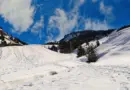 Métropole de Lyon. Grand parc de Miribel-Jonage : des activités tout l’été sur la plage du Fontanil