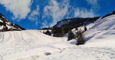 Métropole de Lyon. Grand parc de Miribel-Jonage : des activités tout l’été sur la plage du Fontanil