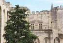 Métropole de Lyon. La Filature accueille ce mercredi les Assises de la Jeunesse à Villeurbanne
