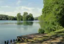 POEI : un mandat simplifié pour faciliter les recrutements dans les TPE-PME en Auvergne-Rhône-Alpes – lyon-entreprises.com