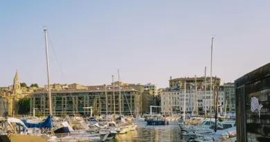 « Pas une priorité pour les Lyonnais » : Doucet critique l’adoption de la loi PML