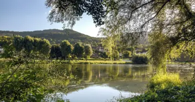 Réforme du scrutin municipal 2026 à Paris, Lyon, Marseille : ce qu’il faut savoir