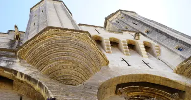 Un patrimoine universitaire à découvrir : le Musée des Moulages Musée des Moulages Lyon