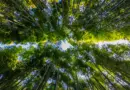 « Tourner la page de l’écologie brutale » : plus d’un tiers des élus de la Métropole appellent à une ZFE plus « humaine et adaptée »
