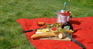 Vivre ensemble, fêtons l’été à la Quarantaine
