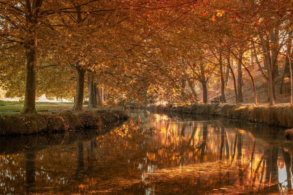 La fête des Lumières