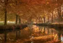 La fête des Lumières