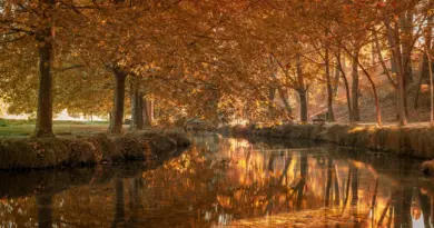 La fête des Lumières