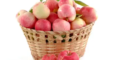 Basket