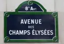 Lyon 8e Arrondissement. Les commerçants et artisans de Monplaisir célèbrent les fêtes