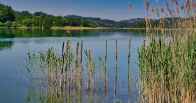 300 activités ce weekend pour le Festival Entre Rhône et Saône
