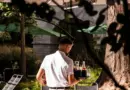 Nouvelle ouverture AXEO Services à Lyon