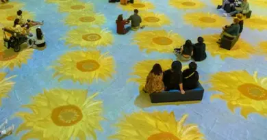 Van Gogh : The Immersive Experience à Lyon, une exposition qui fait le tour du monde
