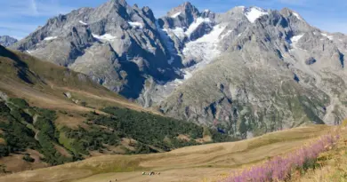 A Lyon, les élèves de l’école Antoine Charial bénéficieront d’une cour « nature » dès la rentrée