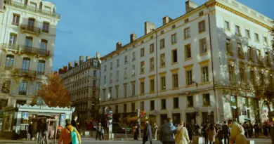 Nina Girardot débusque la biodiversité dans les rues de Lyon
