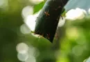 Collectes solidaires Ecosystem : samedi 28 juin 2025
