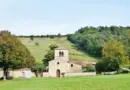 L’association France nature environnement Rhône placée en redressement judiciaire