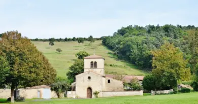 L’association France nature environnement Rhône placée en redressement judiciaire