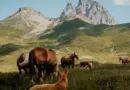 Emploi : malgré la crise, Auvergne-Rhône-Alpes tire son épingle du jeu