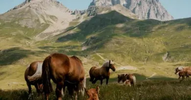 Emploi : malgré la crise, Auvergne-Rhône-Alpes tire son épingle du jeu