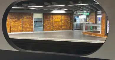 TCL. Lyon : un métro arrêté d’urgence, une partie de la ligne coupée : ce qu’il se passe