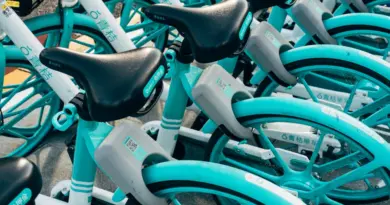 Ligier Group lance Ligier Rent : un nouveau service de location de voitures sans permis – lyon-entreprises.com