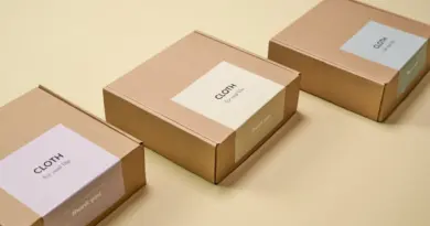 A Lyon, le contournement ferroviaire de l’agglomération ressort des cartons